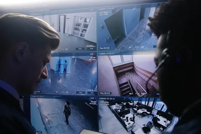 professional security monitoring